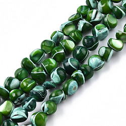 Natural Trochid Shell/Trochus Shell Beads Strands, Dyed, Nuggets, Dark Green, 7~12x5~10x4~8mm, Hole: 1mm, about 60~64pcs/strand, 15.16 inch~15.75 inch(38.5~40cm)(SSHEL-N032-48-A04)