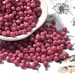 Baking Paint Glass Seed Beads, Bicone, Flamingo, 4.5x4mm, Hole: 1.1mm, about 142pcs/10g(X1-SEED-A032-02A-04)
