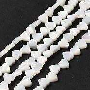 Natural Trochid Shell/Trochus Shell Beads Strands, Heart, Seashell Color, 6.5x6x2.5mm, Hole: 0.9mm, about 62pcs/strand, 14.80''(37.6cm)(BSHE-E026-19)