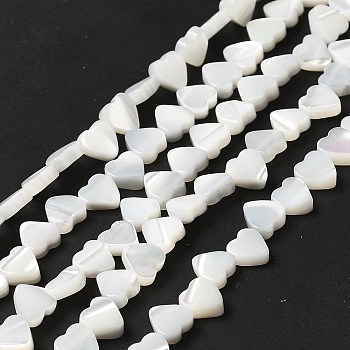 Natural Trochid Shell/Trochus Shell Beads Strands, Heart, Seashell Color, 6.5x6x2.5mm, Hole: 0.9mm, about 62pcs/strand, 14.80''(37.6cm)