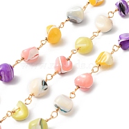 Handmade Shell Pearl Chip Beaded Chains, with Golden Tone Brass Findings, with Spool, Cadmium Free & Lead Free, Mixed Color, 14~15x6~8x6~7.5mm(CHC-M024-10G)
