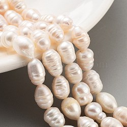 Natural Cultured Freshwater Pearl Beads Strands, Grade AB, Rice, PeachPuff, 7~8mm, Hole: 0.6mm, about 19pcs/strand, 6.69''(17cm)(PEAR-P062-15A)