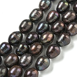 Natural Cultured Freshwater Pearl Rice Beads Strands, Dyed, Black, 9~9.5x8mm, Hole: 0.6mm, about 42pcs/strand, 15.63 inch(39.7cm)(PEAR-XCP0001-06)