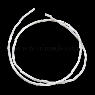 Natural Freshwater Shell Beads Strands(SHEL-C010-02B)-3