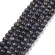 Natural Iolite Beads Strands, Round, 6~6.5mm, Hole: 0.7mm, about 63pcs/strand, 15.75 inch(40cm)(G-C242-02B)