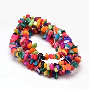 Natural Chip Dyed Shell Bead Strands(X-G-L454-10)-2