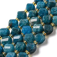 Natural Apatite Beads Strands, with Seed Beads, Faceted Twist, 8x8x8mm, Hole: 1mm, about 40pcs/strand, 15.51''(39.4cm)(G-M443-B06-02)