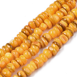 Natural Trochid Shell/Trochus Shell Beads Strands, Dyed, Flat Round, Goldenrod, 5~10x1~7mm, Hole: 1mm, about 94pcs/strand, 14.96''(38cm)(SHEL-S258-081-B10)