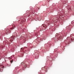 Chips Natural Tourmaline Beads Strands, 3~8x3~12x3~5mm, Hole: 1mm, about 16 inch(X-G-N0164-29)