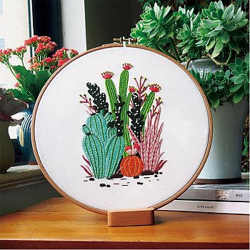 Cactus Pattern DIY Embroidery Starter Kits, including Embroidery Fabric & Thread, Needle, Instruction Sheet, Colorful, 290x290mm