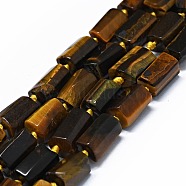 Natural Tiger Eye Beads Strands, Cuboid, 11~13x6~8x6~8mm, Hole: 0.7mm, about 28~31pcs/strand, 15.94''~16.93''(40.5~43cm)(G-O170-103)
