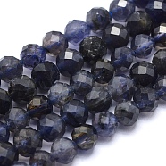 Natural Iolite Beads Strands, Round, Faceted, 5mm, Hole: 0.8mm, about 78pcs/strand, 15.1 inch(38.5cm)(G-O171-13-5mm)