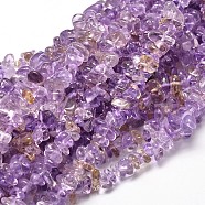 Natural Ametrine Chip Beads Strands, 5~14x4~10mm, Hole: 1mm, about 32 inch(L-G-E271-134)