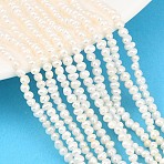 Natural Cultured Freshwater Pearl Beads Strands, Potato, Grade 3A+, Beige, 2~3mm, Hole: 0.5mm, about 136pcs/strand, 13.70''(34.8cm)(PEAR-D003-01C-01)