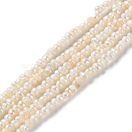 Natural Keshi Pearl Beads Strands, Cultured Freshwater Pearl, Baroque Pearls, Potato, Grade 2A, PapayaWhip, 2~3x2~3.5mm, Hole: 0.5mm, about 162pcs/strand, 13.66''(34.7cm)(PEAR-E018-64)