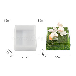 DIY Silicone Display Molds, Resin Casting Molds, Clay Craft Mold Tools, White, Rectangle, 87x66x22mm(SIMO-P008-21D)