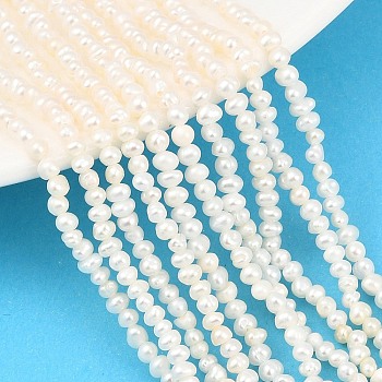 Natural Cultured Freshwater Pearl Beads Strands, Potato, Grade 3A+, Beige, 2~3mm, Hole: 0.5mm, about 136pcs/strand, 13.70''(34.8cm)