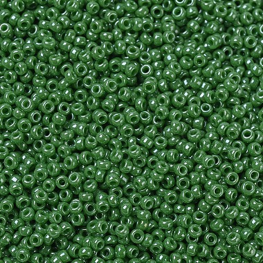 MIYUKI Round Rocailles Beads(SEED-G007-RR0431)-3