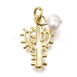 Brass Pendants, Cactus Charms, Rack Plating, Long-Lasting Plated, with Natural Pearl, Cadmium Free & Lead Free, with Jump Ring, Real 18K Gold Plated, 19x12x1.5mm, Hole: 3.5mm(KK-B132-10G)