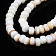 Natural Trochid Shell/Trochus Shell Beads Strands(SHEL-S258-081-A01)-3