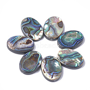 Abalone Shell/Paua Shell Beads, Oval, 18x13x3.5mm, Hole: 1mm(SSHEL-T008-14)