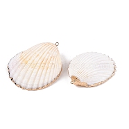 Natural Scallop Shell Big Pendants, Shell Shaped Charms with Golden Tone Iron Loops, Seashell Color, 36~64x31~50x12~23mm, Hole: 1.6~1.8mm(SSHEL-N038-13)