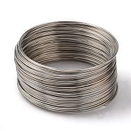 Steel Bracelet Memory Wire, Platinum, 20 Gauge, 0.8mm, 55mm inner diameter, about 1150 circles/1000g.(TWIR-ZX004-P)