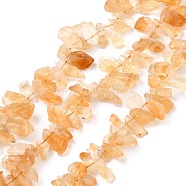 Rough Raw Natural Citrine Beads Strands, Nuggets, 5~14.5x13~24x3.5~8.5mm, Hole: 0.9mm, about 78pcs/strand, 15.75''(40cm)(G-C069-02)