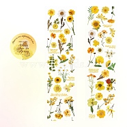 Flower Waterproof PVC Self-Adhesive Decorative Tapes Roll, for DIY Scrapbooking, Gold, 40x50x2mm(DIY-M053-02E)