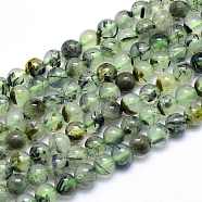Natural Prehnite Beads Strands, Round, Grade AB, 10mm, Hole: 1mm, about 39pcs/strand, 15.1 inch(38.5cm)(G-P322-48-10mm)