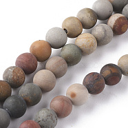 Natural Ocean Jasper Beads Strands, Frosted, Round, 6mm, Hole: 0.8mm, about 64pcs/strand, 15.35 inch(39cm)(G-F668-27-6mm)