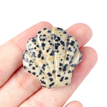 Natural Dalmatian Jasper Carved Healing Shell Shape Figurines, Reiki Energy Stone Display Decorations, 30x30mm