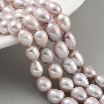 Natural Cultured Freshwater Pearl Beads Strands, Rice, Grade 2A, Thistle, 7~8mm, Hole: 0.6mm, about 21~22pcs/strand, 6.89''~7.09''(17.5~18cm)