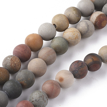 Natural Ocean Jasper Beads Strands, Frosted, Round, 6mm, Hole: 0.8mm, about 64pcs/strand, 15.35 inch(39cm)