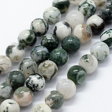 Natural Tree Agate Beads Strands(G-I199-03-10mm)-1