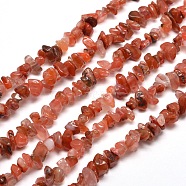 Natural South Red Agate Chip Bead Strands, 5~8x5~8mm, Hole: 1mm, about 31.5 inch(G-M205-49)