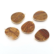 Natural Tiger Eye Pendants, with Brass Findings, Golden, 33.5~34x27x2mm, Hole: 1.5mm(G-E526-09H)