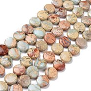 Natural Aqua Terra Jasper Beads Strands, Flat Round, 14x5.5mm, Hole: 1.2mm, about 29pcs/strand, 15.94''(40.5cm)(G-E572-02)