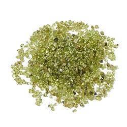 Natural Peridot Beads, No Hole/Undrilled, Chip, 1~6x2~4x2~3.5mm, about 25000pcs/1000g(G-F710-08)