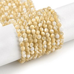 Natural Trochus Shell Beads Strands, Faceted, Round, BurlyWood, 3~3.5mm, Hole: 0.6mm, about 138pcs/strand, 15.55 inch(39.5cm)(BSHE-G036-08B-02)