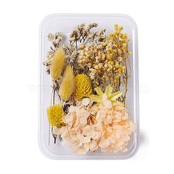 Dried Flowers, DIY Candle Soap Making Accessories, with Plastic Rectangle Box, Gold, Gold, 2.5~14x1.5~5.3cm(DIY-D052-12)