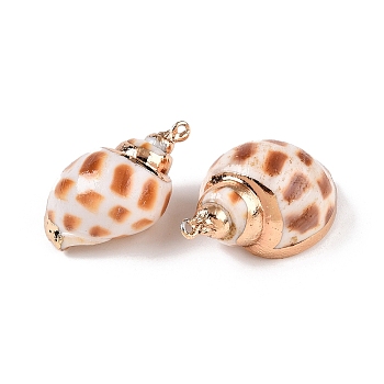 Natural Sea Shell Pendants, Shell Shaped Charms with Golden Tone Iron Loops, Chocolate, 18~35x7~22x7~18mm, Hole: 1.2~1.6mm