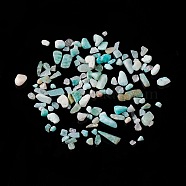 Natural Amazonite Chip Beads, No Hole/Undrilled, 2~12x2~10x1~3mm, about 1120pcs/100g(X-G-M364-04A)