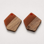 Resin & Walnut Wood Pendants, Waxed, Polygon, Brown, 20.5x18.5x3~4mm, Hole: 2mm(RESI-S384-003A-A01)