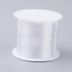 Fishing Thread Nylon Wire, Clear, 0.2mm, about 109.36 yards(100m)/roll(NWIR-G015-0.2mm-01)