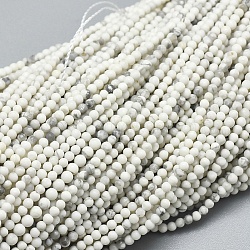 Natural Howlite Beads Strands, Round, 2~2.5mm, Hole: 0.5mm, about 165~188pcs/strand, 15.35 inch(39cm)(G-A177-04-24)