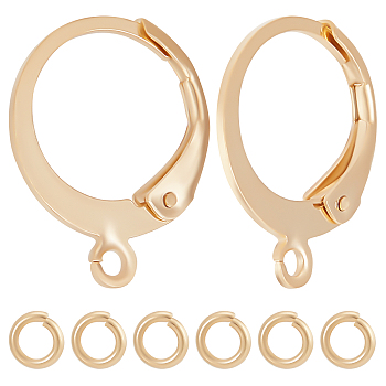 50Pcs 304 Stainless Steel Leverback Earring Findings, with Horizontal Loops & 50Pcs Open Jump Rings, Real 24K Gold Plated, 14.5x12.5x2mm, Hole: 1.2mm