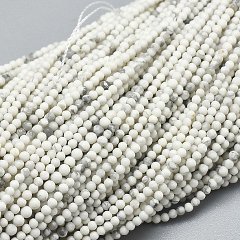 Natural Howlite Beads Strands, Round, 2~2.5mm, Hole: 0.5mm, about 165~188pcs/strand, 15.35 inch(39cm)