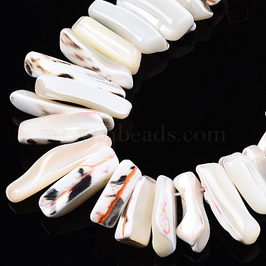 Natural Trochid Shell/Trochus Shell Beads Strands(SSHEL-T014-41)-3