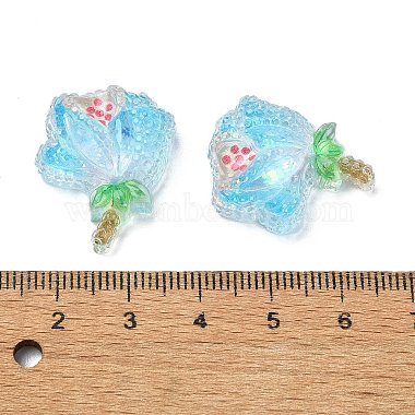 Transparent Epoxy Resin Decoden Cabochons(CRES-I030-01C)-3